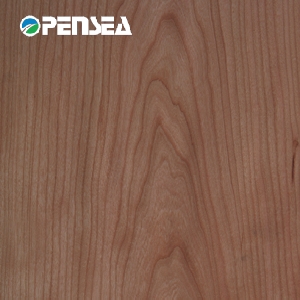 ����ľƤ��Ԕ��(x��)��B