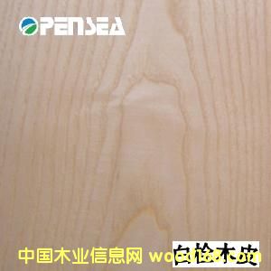 ��˨ľƤ��Ԕ��(x��)��B