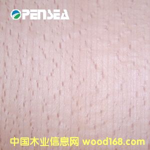 �t��ľƤ��Ԕ��(x��)��B