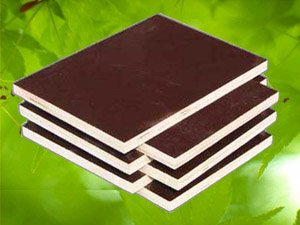 ��Ĥ����ģ��-1220x2440mm-��ľо��Ԕ����B