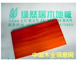 ��ľ��Ԕ����B