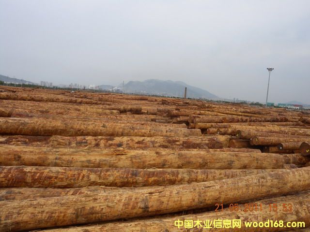 �����ɵ�Ԕ��(x��)��B