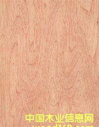 ���ǹ��ΰ��Ԕ����B