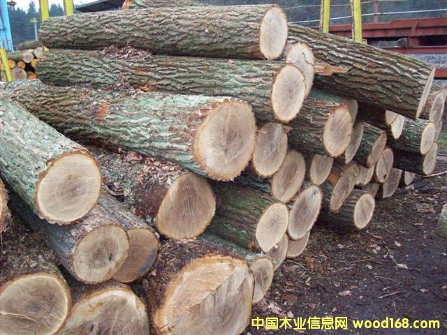 �|�W��ľ-AB��(j��)��Ԕ��(x��)��B