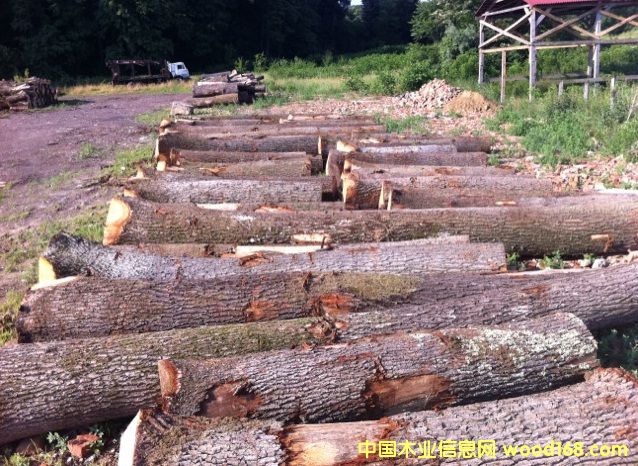 �|�W��ľ-A��(j��)��Ԕ��(x��)��B