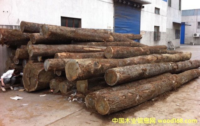 �|�W��ľ-C��(j��)��Ԕ��(x��)��B