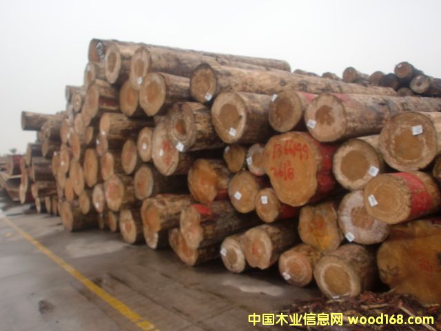 �����mݗ���ɵ�Ԕ����B