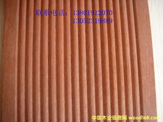 ɽ��ľ��Ԕ��(x��)��B