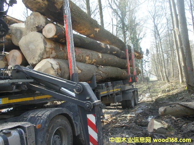 ��Ϟ?z��i)���Ԕ����B