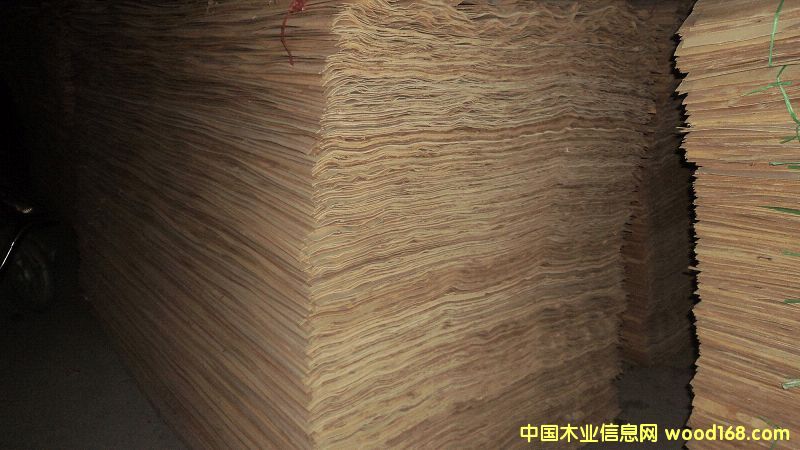 [��] �ט�ABCD���ΰ���Ƥ