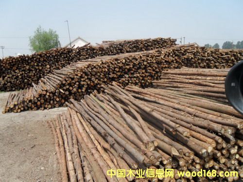 ɼľ�U����ľ�U