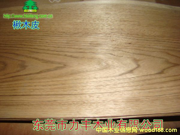 �ľ��Ԕ��(x��)��B