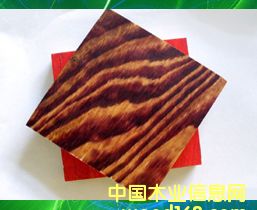 ��ȩ�z�潨��ģ���Ԕ��(x��)��B