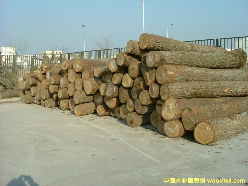 �����m��ľ�����𣩵�Ԕ��(x��)��B