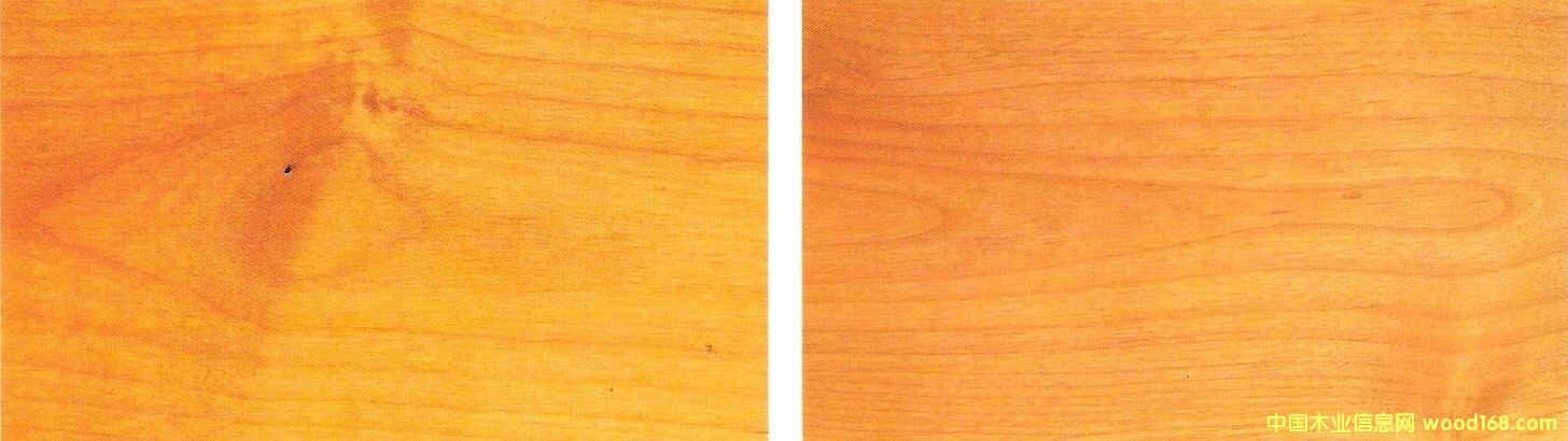 �����Ԕ��(x��)��B