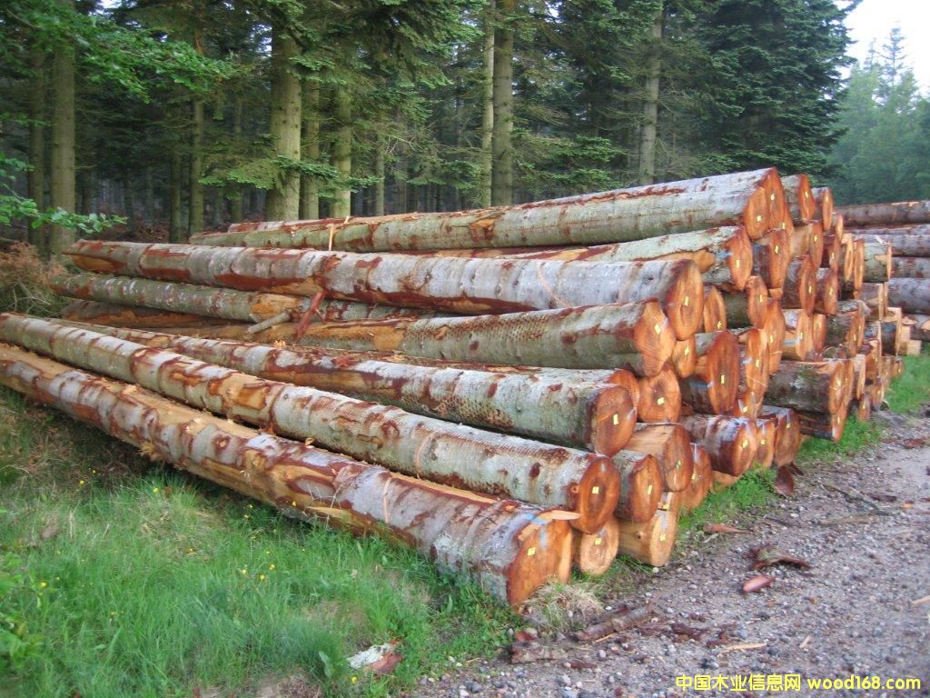 �W����ɼ��Ԕ����B