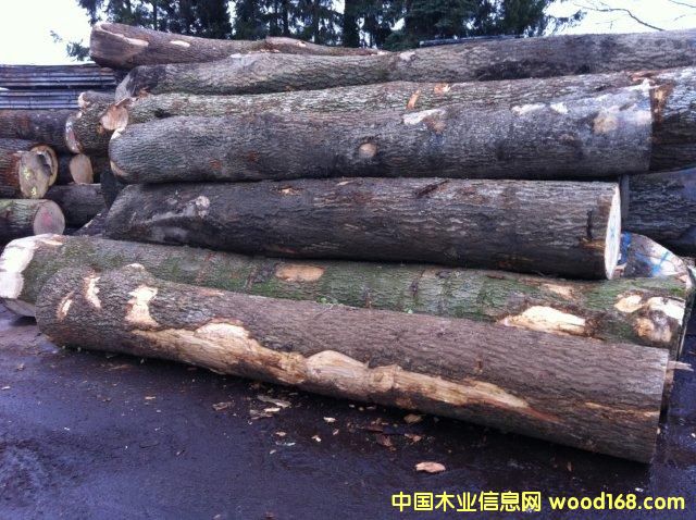 �W�ް�Ϟ��ˮ��������Ԕ����B