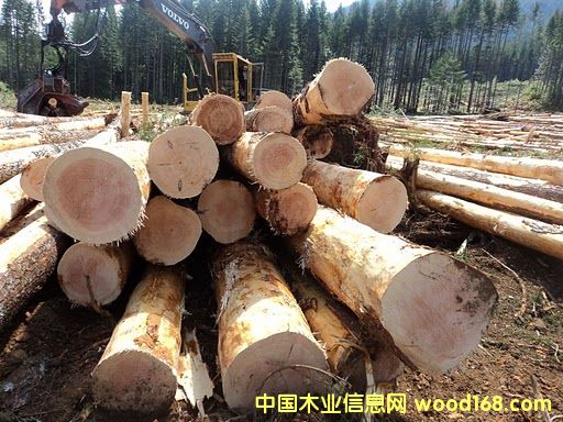 ���ڵ��Ї���Ԕ��(x��)��B