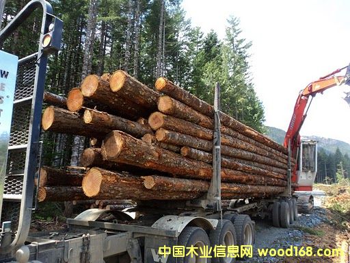 �b�\��Ԕ��(x��)��B