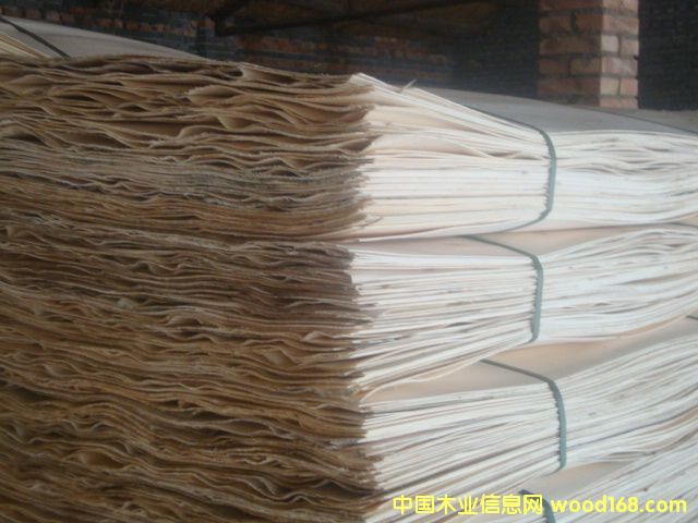 ��ľ�ΰ�ľƤ ��Ԕ����B