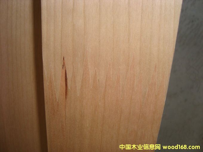 ��Ƥ����Ƭ