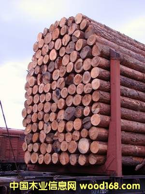 �����ɵ�Ԕ��(x��)��B