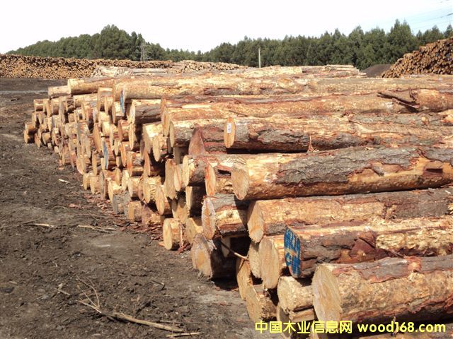 ݗ���ɵ�Ԕ��(x��)��B