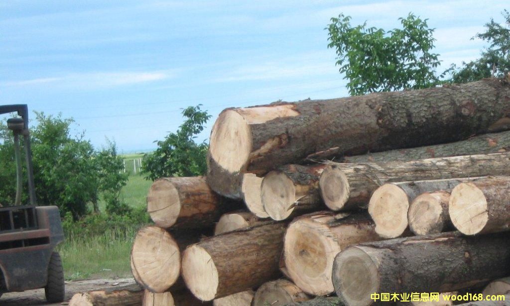 ��ɼ��Ԕ��(x��)��B