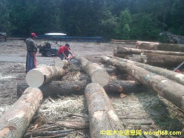 ������Ԕ��(x��)��B