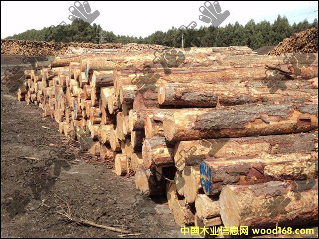 �����mݗ����ԭľ��Ԕ��(x��)��B