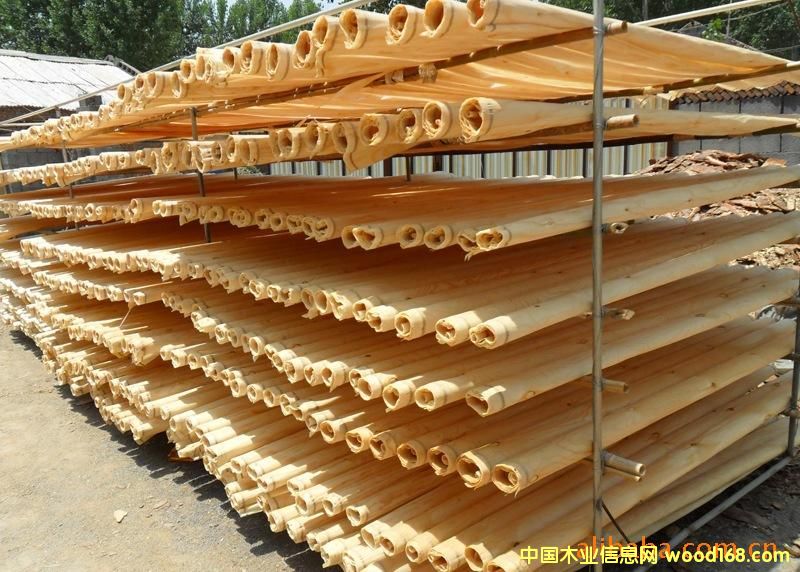 ��������Ƥ1��Ԕ��(x��)��B