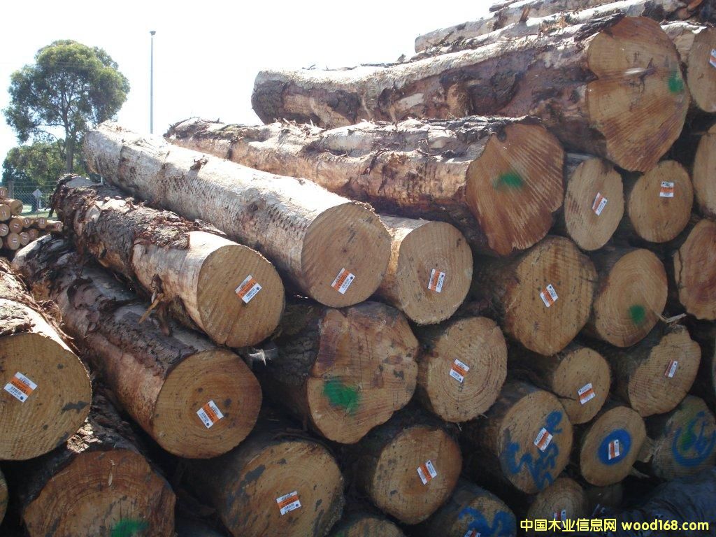 �Ĵ�����ݗ����ԭľ��Ԕ����B