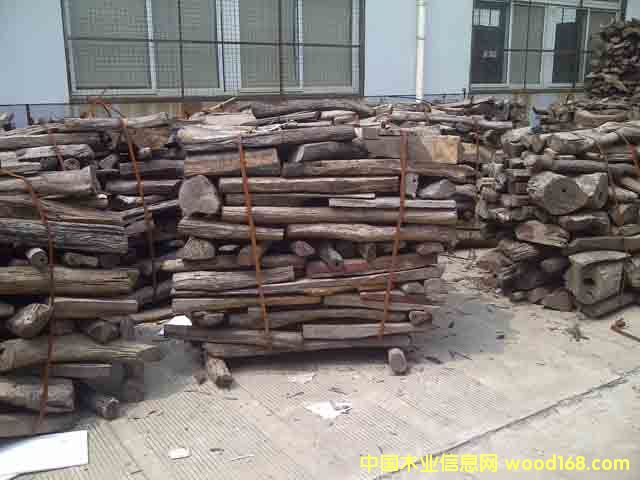 �t��֦(С�ϣ�