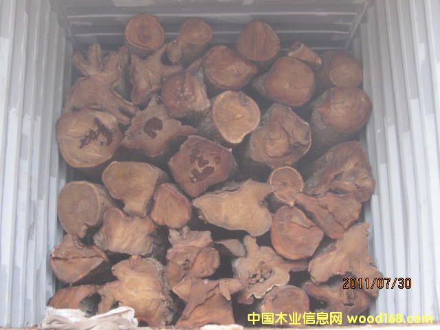 �����棨���ȁ�����Ԕ��(x��)��B