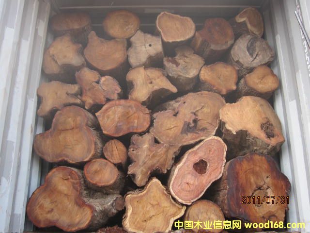 �����棨���ȁ�����Ԕ��(x��)��B