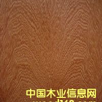 ���y��֦��Ԕ����B