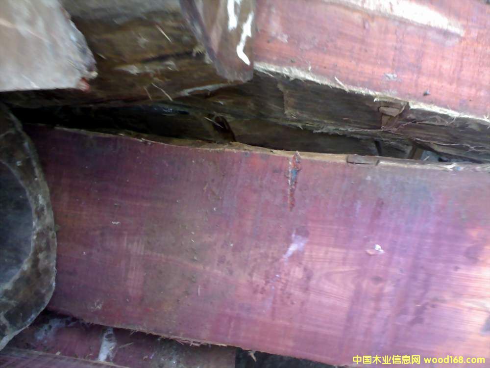 ӡ���zС�~��̴