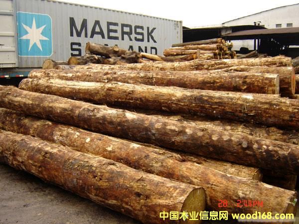 ��֦����ľ���W�����M(j��n)�ڈ�(b��o)�P(gu��n)��(b��o)�zȫ�״���