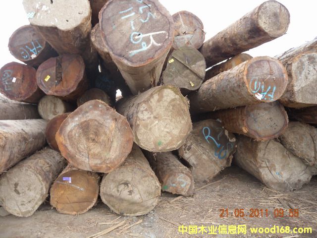 �Fɼ��Ԕ��(x��)��B