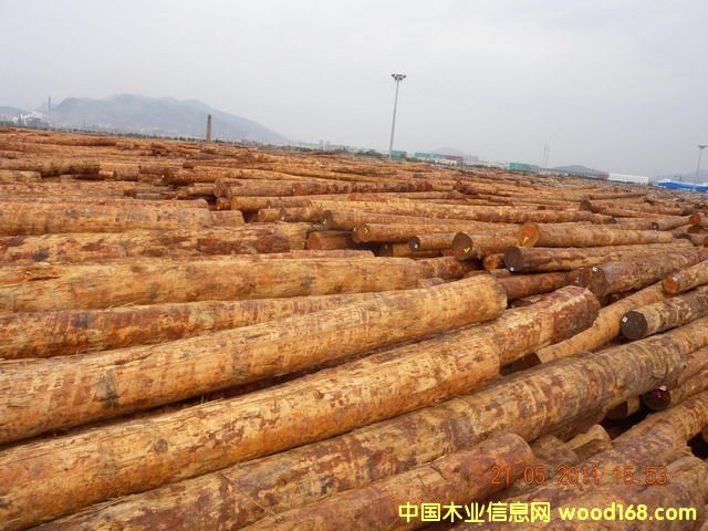 �����ɵ�Ԕ��(x��)��B