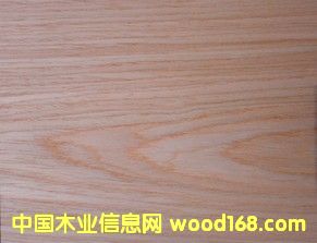 �Ƽ�ľƤ  ������