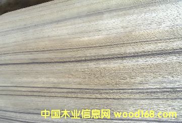 ��ľ��Ԕ��(x��)��B