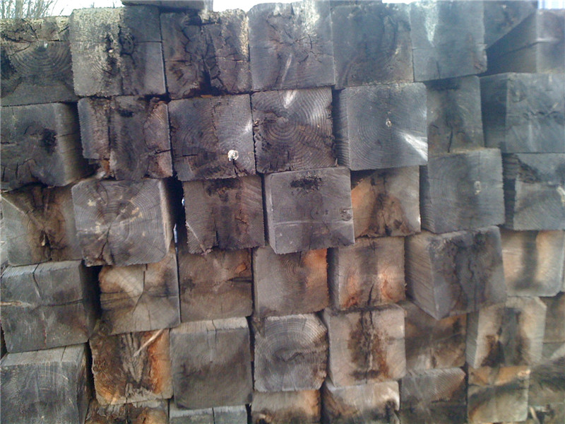 �ݽ�40�����������ɼ����