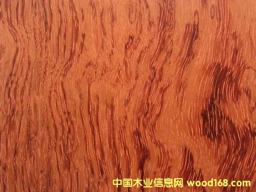 �ߙn��ȻľƤ�����Ԕ��(x��)��B