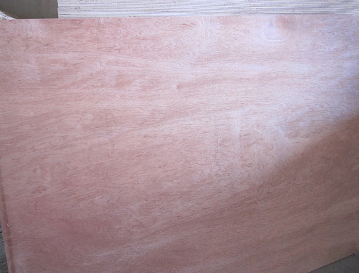 ��ľ�������ǹ�����b���z�ϰ�