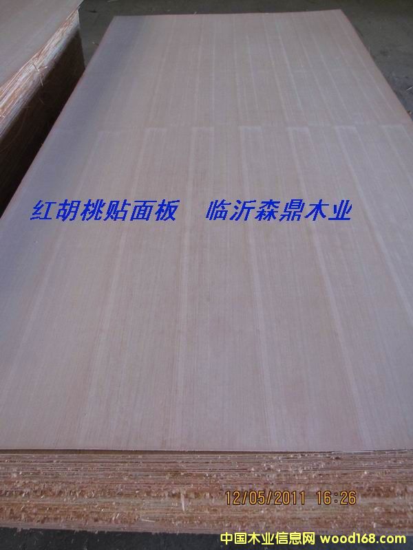 �t�����N����Ԕ��(x��)��B