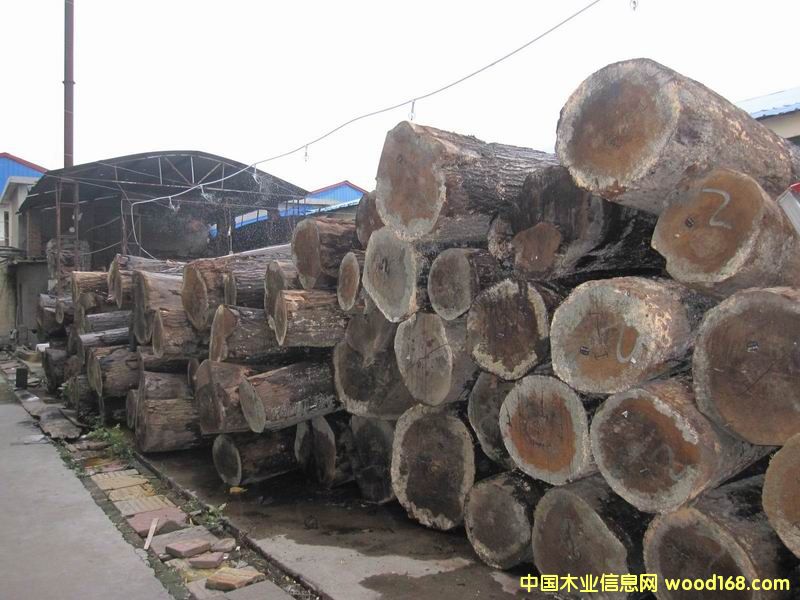 ����(gu��)�t��ԭľ��Ԕ��(x��)��B