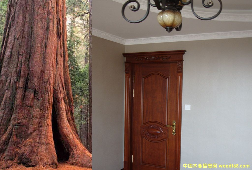 ����ľԭľ�T