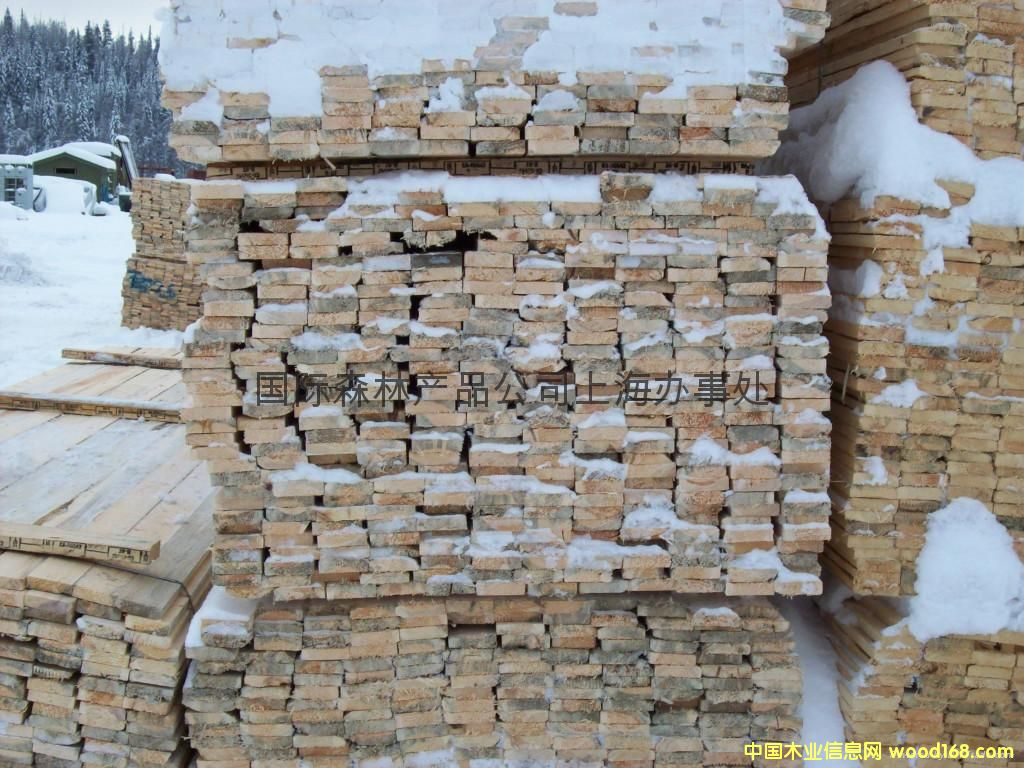 ����(y��ng)J#��(j��)SPF��ĵ�Ԕ��(x��)��B