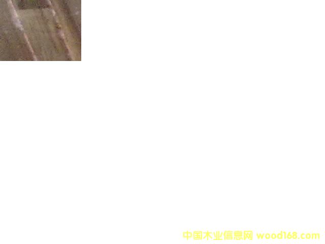 �t�𼯳ɲĵ�Ԕ��(x��)��B